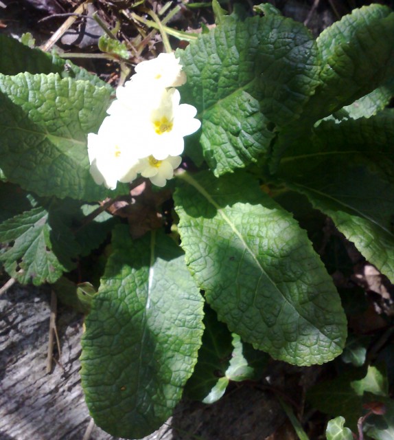 April in October . . . 